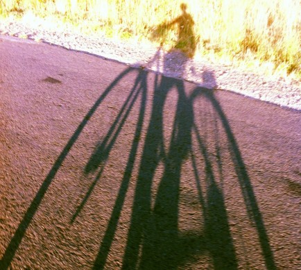 shadow bike