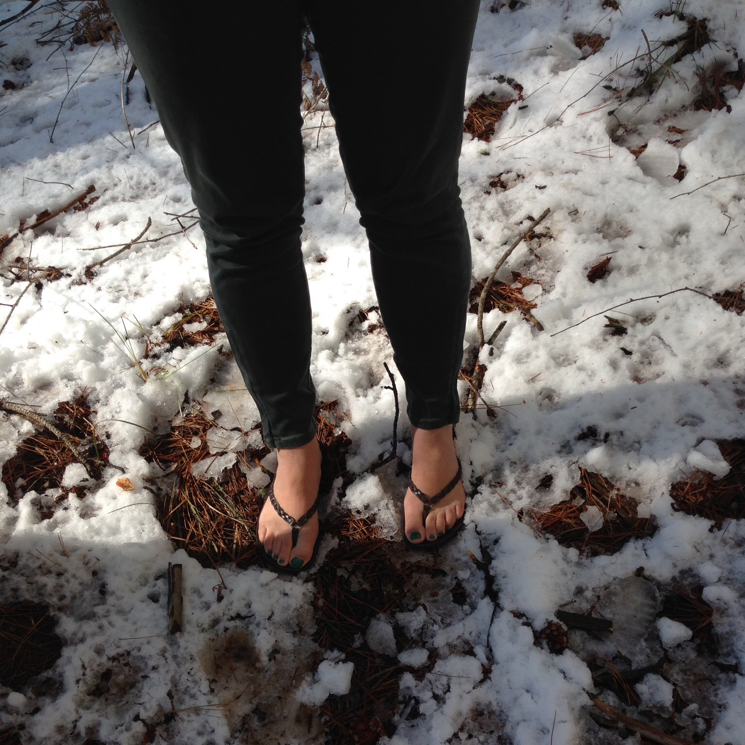 Sugar Pine walk in the snow with flip flops