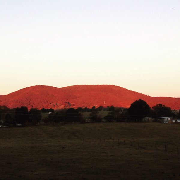 The hills of Tumbarumba are alive with colour