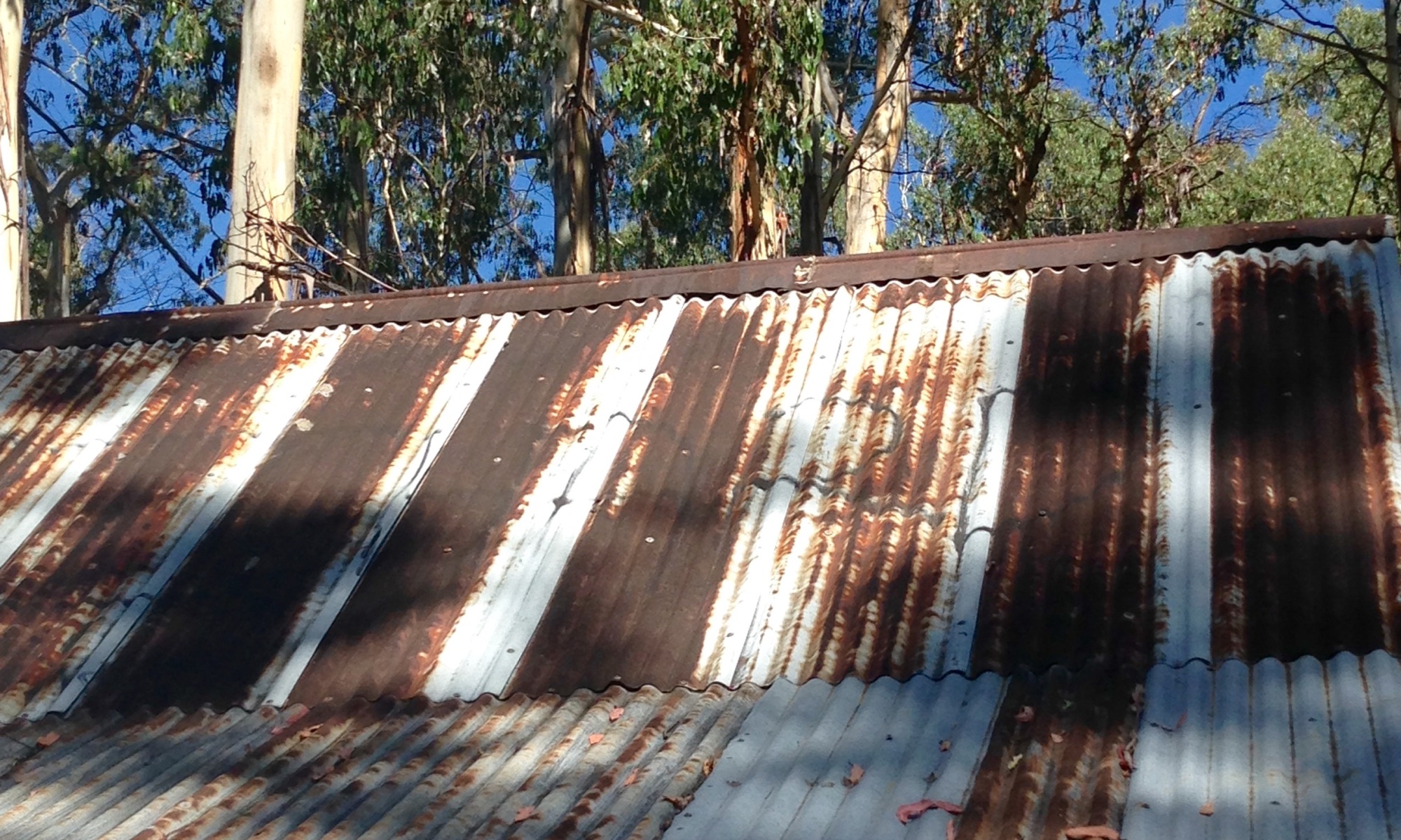 tin roof of old house