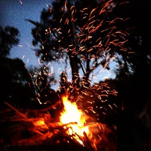 Bonfire night in the garden