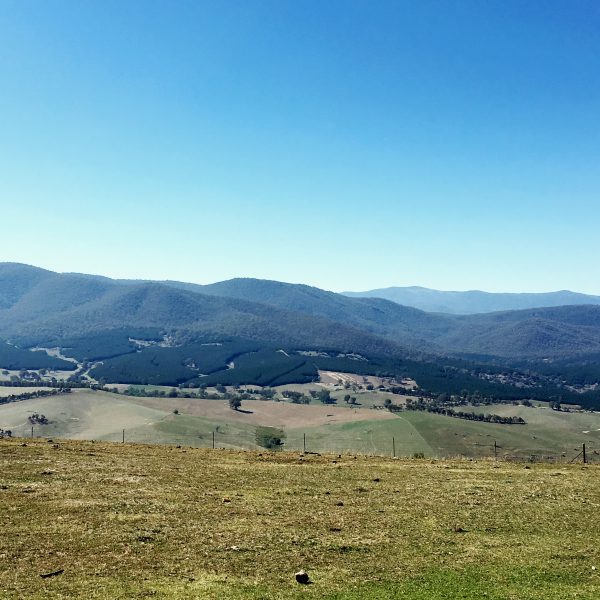 One of the views from the top of a hill near Tumbarumba