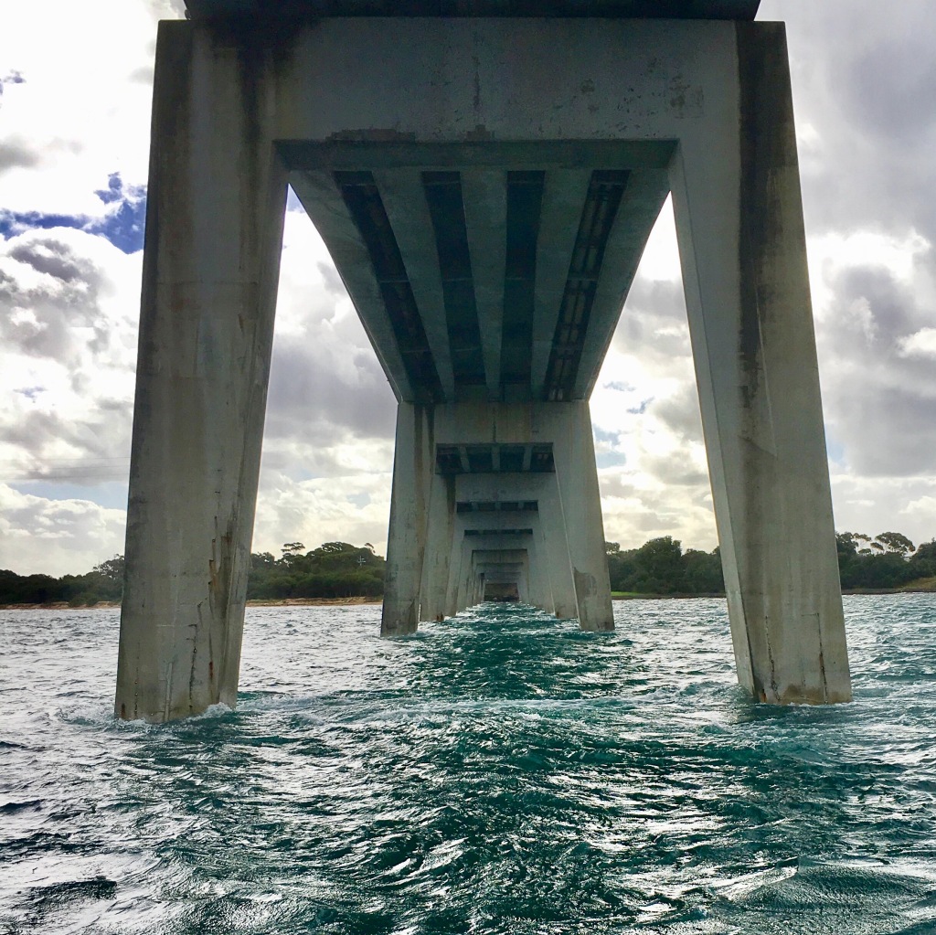 Under the bridge in Port Phillip Bay Melbourne