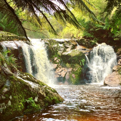 Halls Falls at Pyengana Tasmania