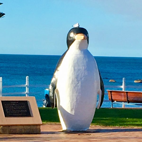 Penguin statue at Penguin Tasmania with seagull on his head