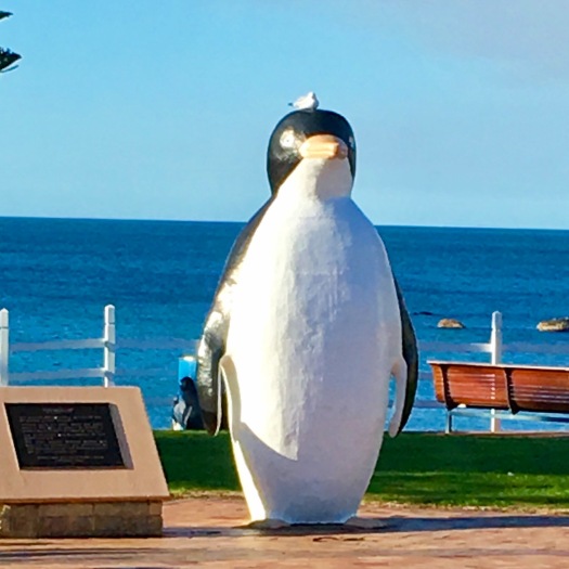 Penguin statue at Penguin Tasmania with seagull on his head