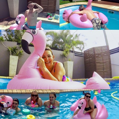 Pink Flamingo fun in the pool on a summer's day