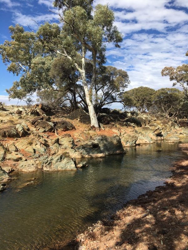 A waterhole in the Flinders Ranges