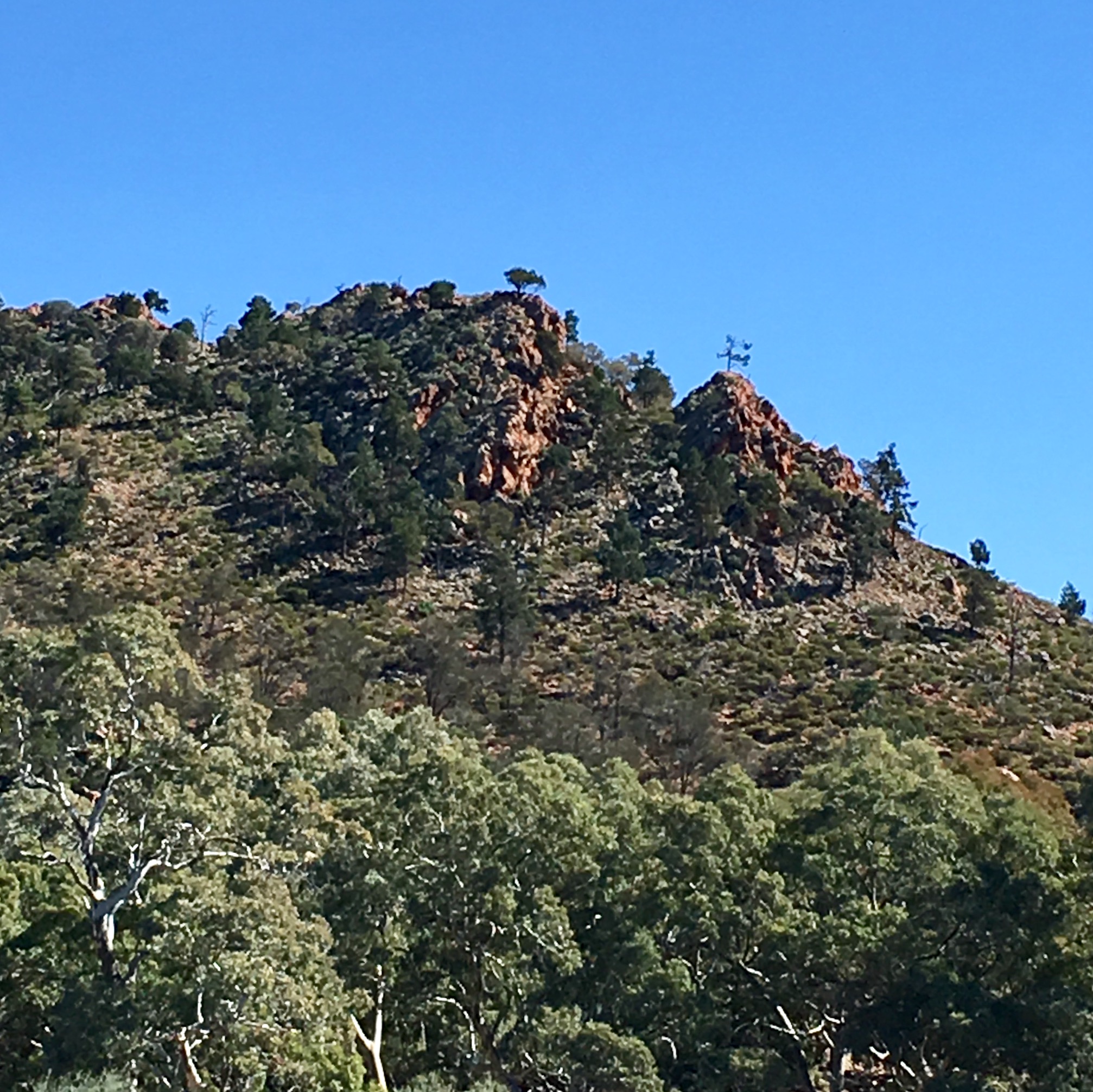 Rocky outcrop along the Frome River in the Flinders Ranges