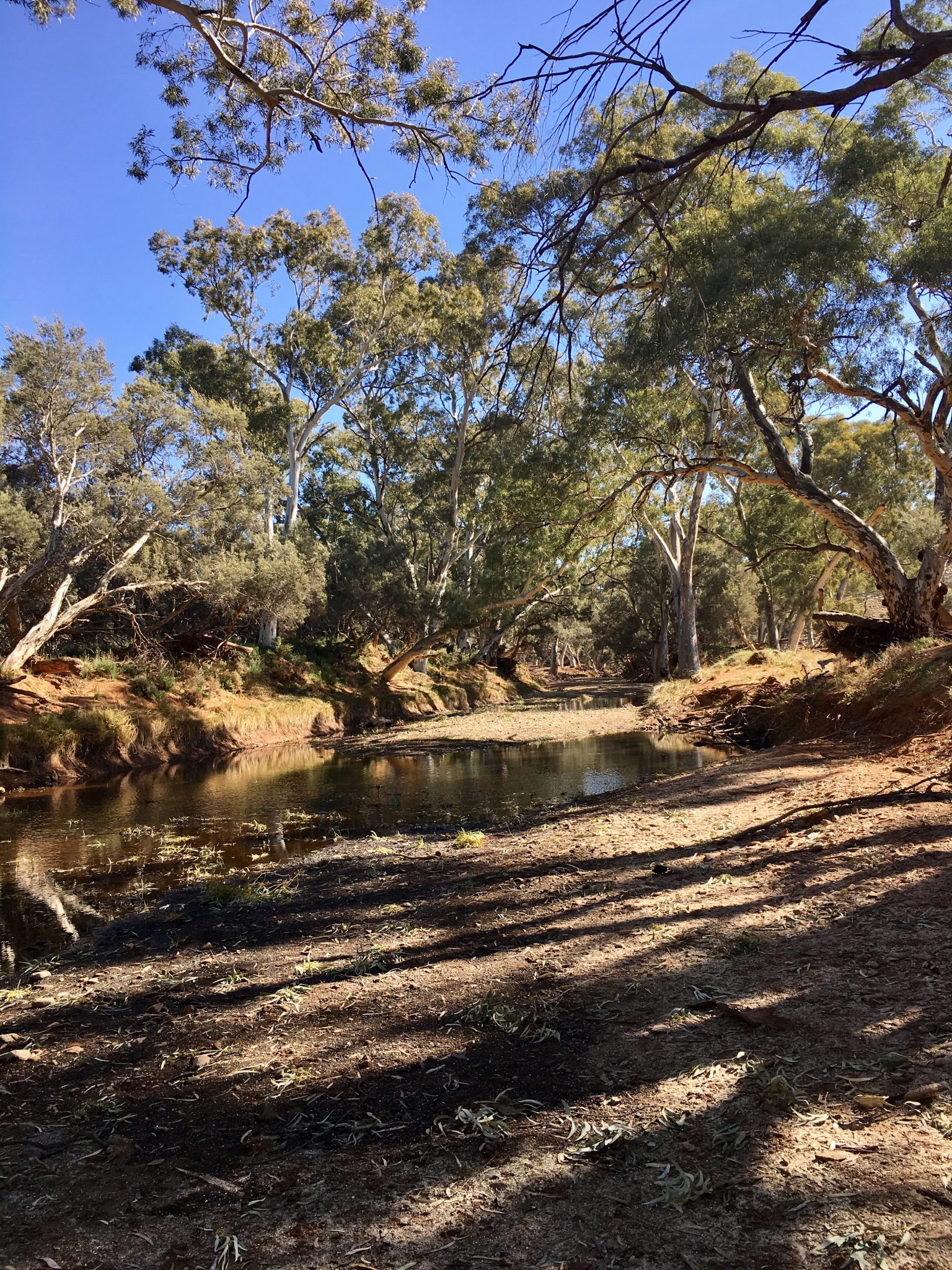 The riverbed of the Frome River in the Flinders Ranges