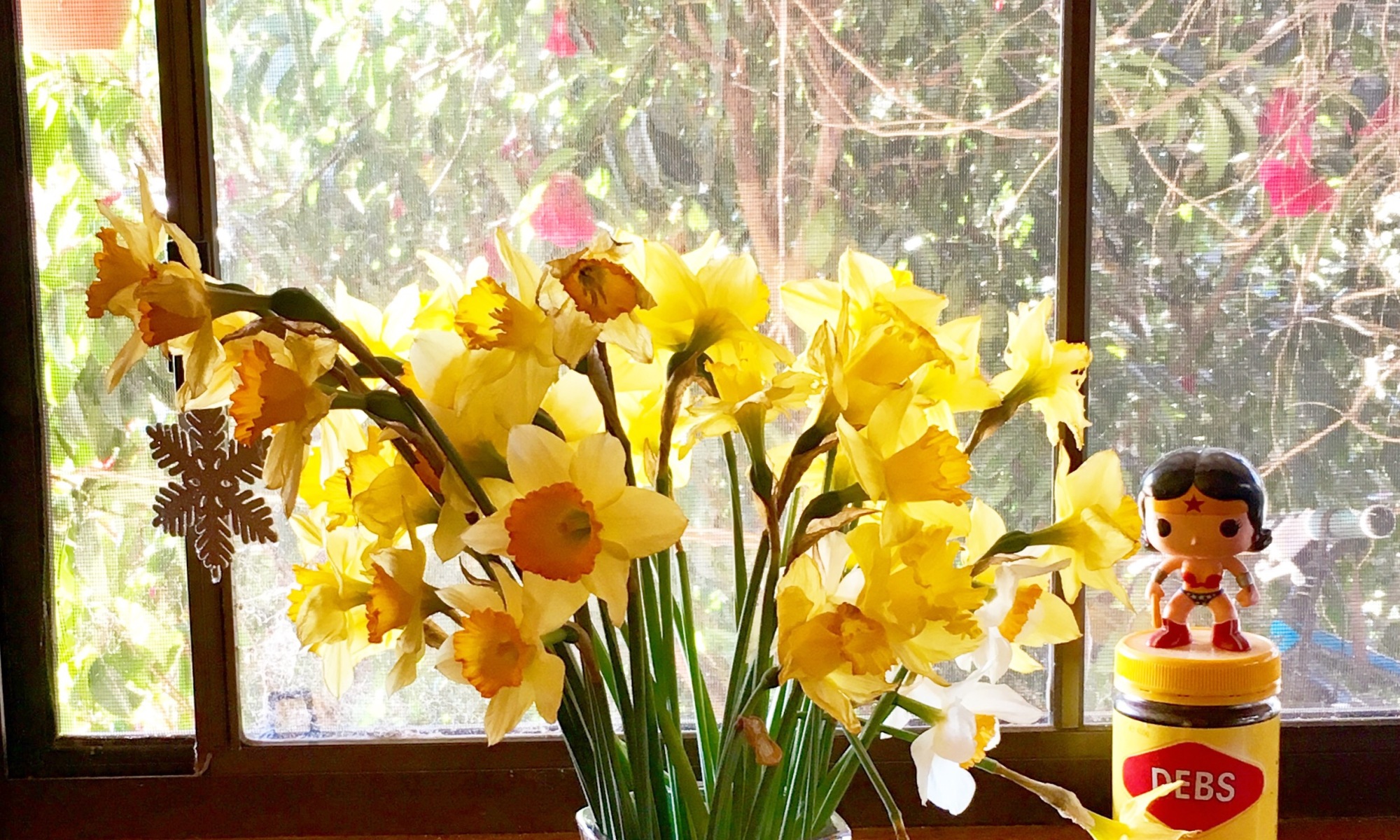 View through the window on a sunny spring day