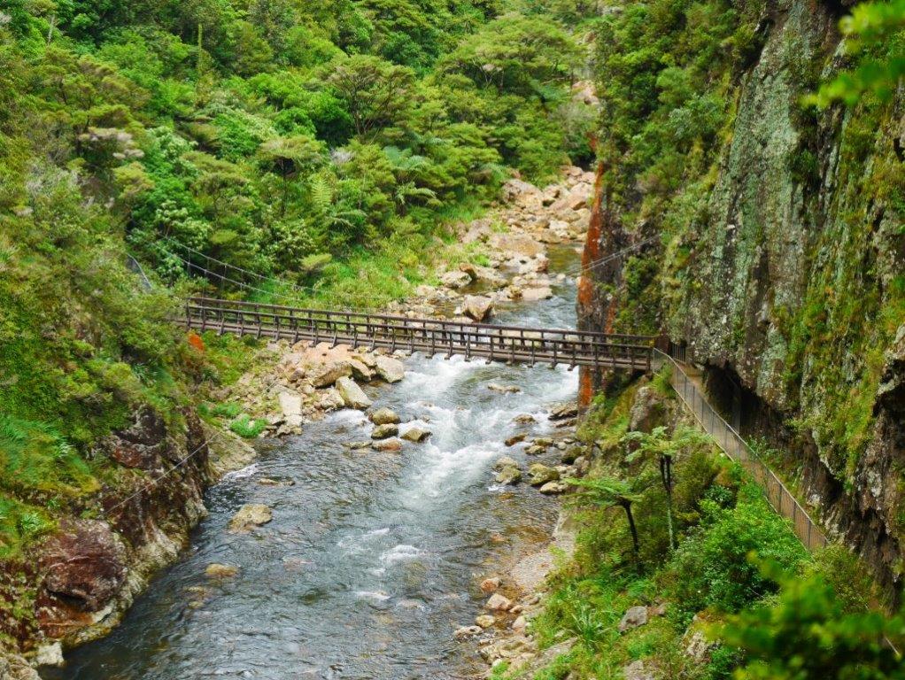 karangahake gorge bridge 2