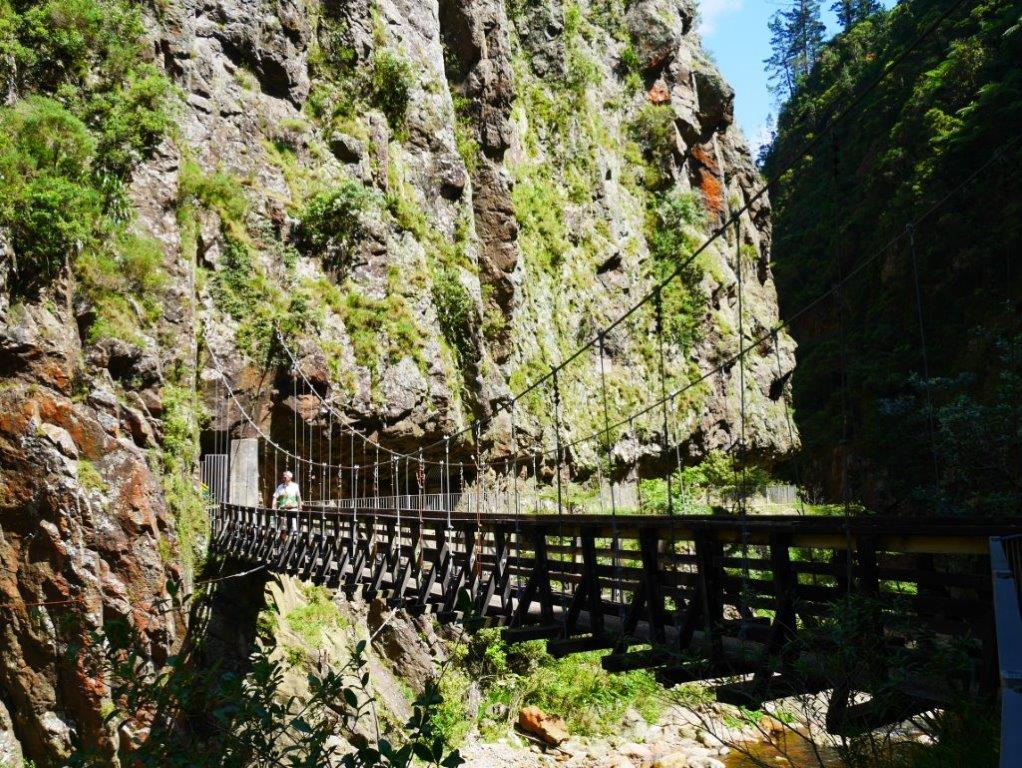 Karangahake gorge bridge on Hauraki Rail Trail
