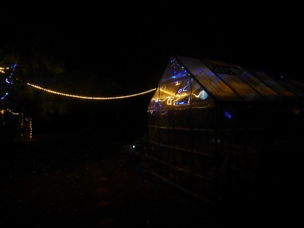 The bright lights of Tumbarumba at night