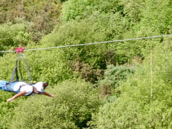 Taking in the view on the zip wire