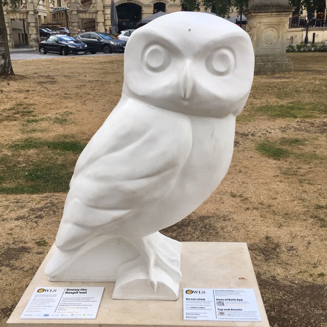Meet Hospit'owl Bath UK