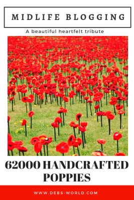 62000 poppies made with love 