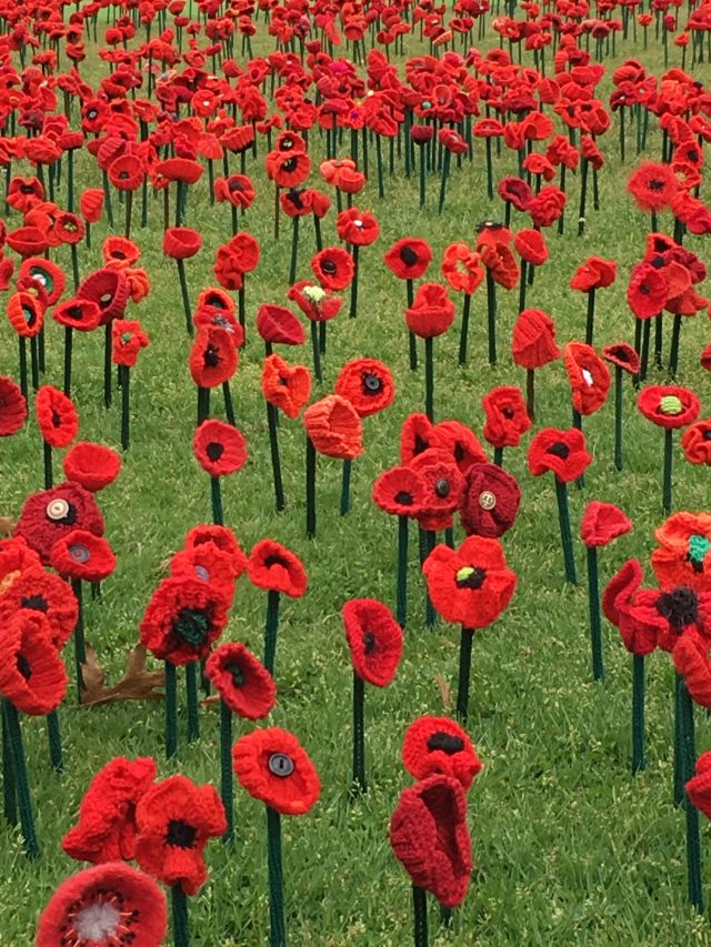 62000 poppies at Australian War Memorial Canberra