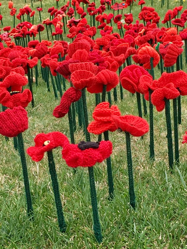 62000 poppies at Australian War Memorial Canberra