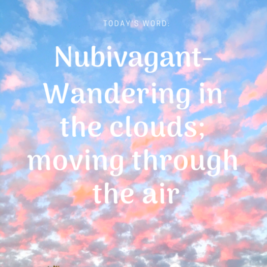 Word of the day - Nubivagant