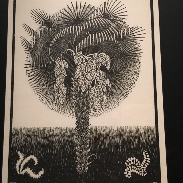 Palm tree by Escher