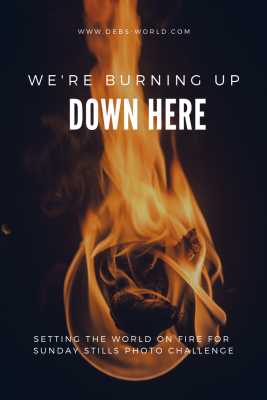 We're burning up down here, photo challenge for Sunday Stills