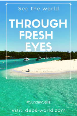See the world through fresh eyes