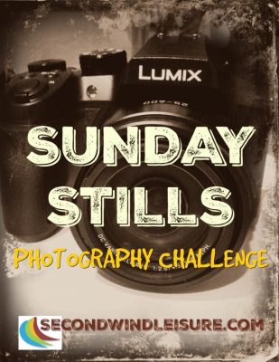 Sunday Still weekly photo challenge