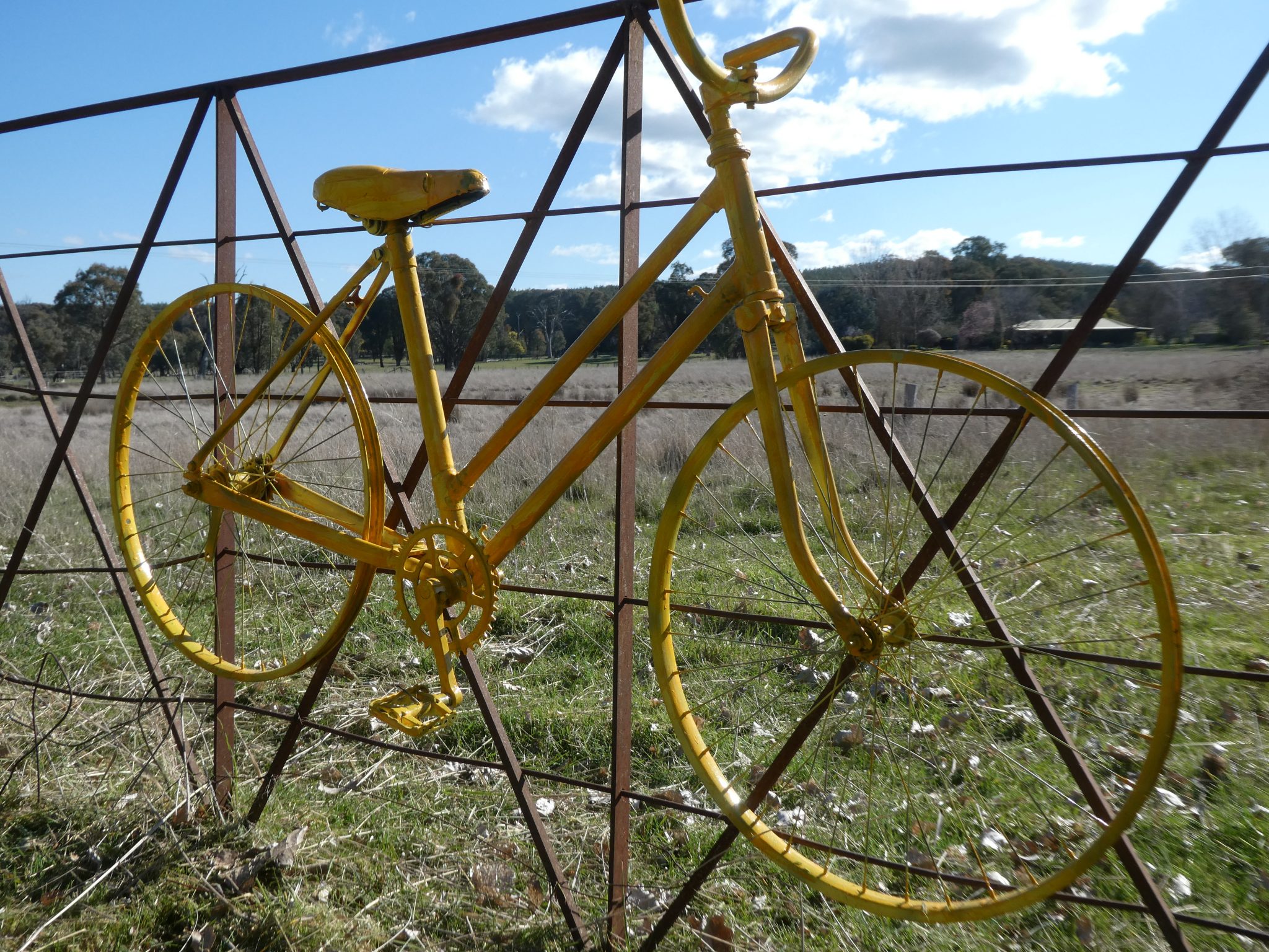 Yellow bike on gate