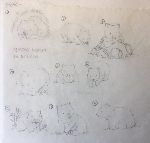 Wombat sketches