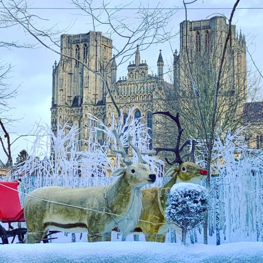 Wells Cathedral winter tableau