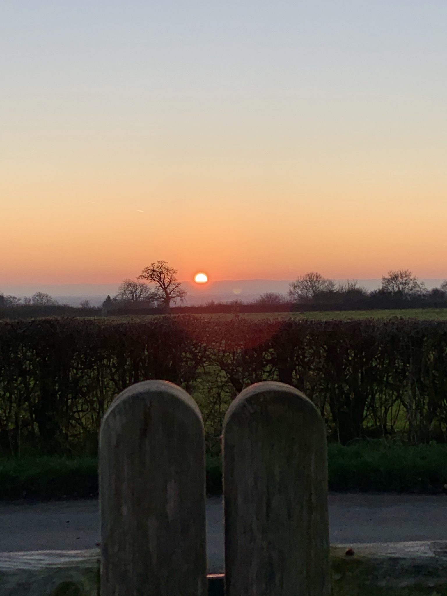 Sunset over the gate