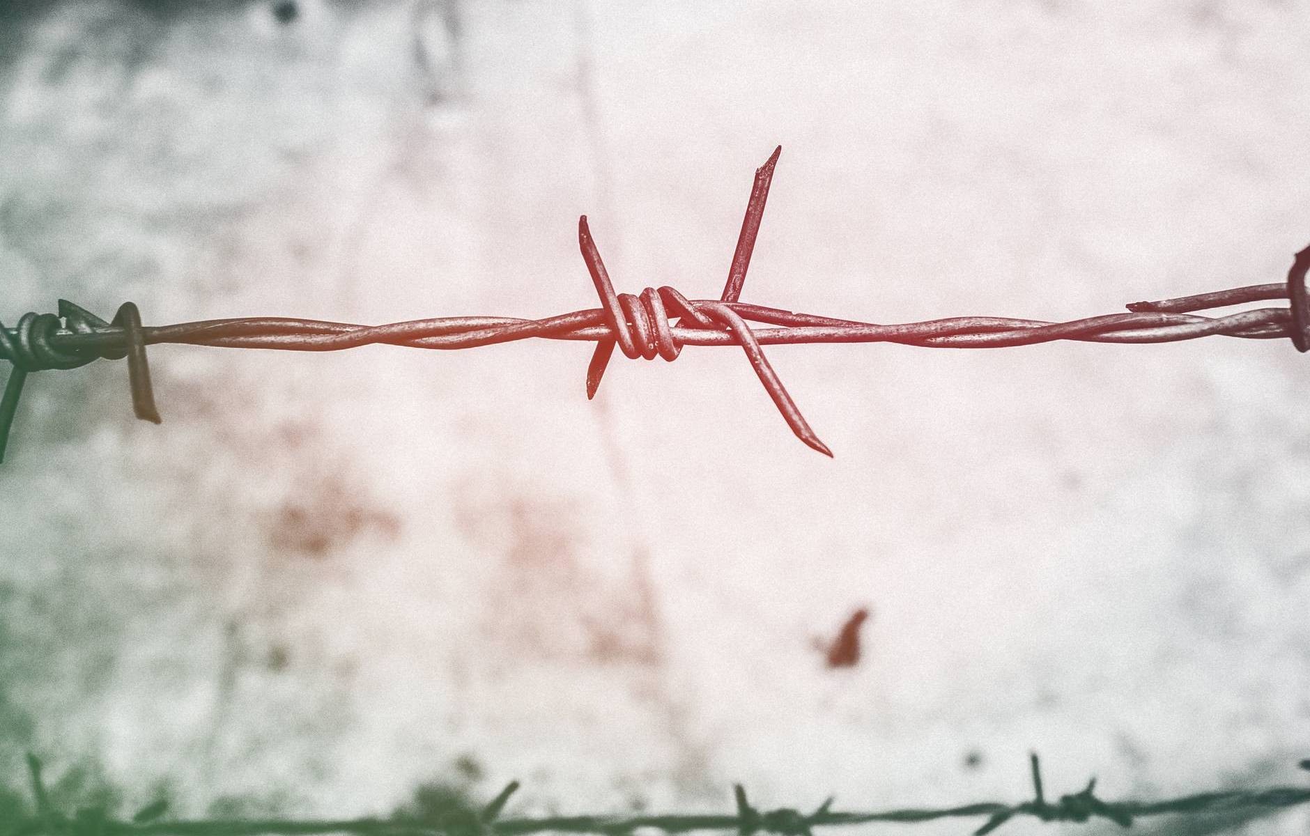 barb wires barbed wire blur border