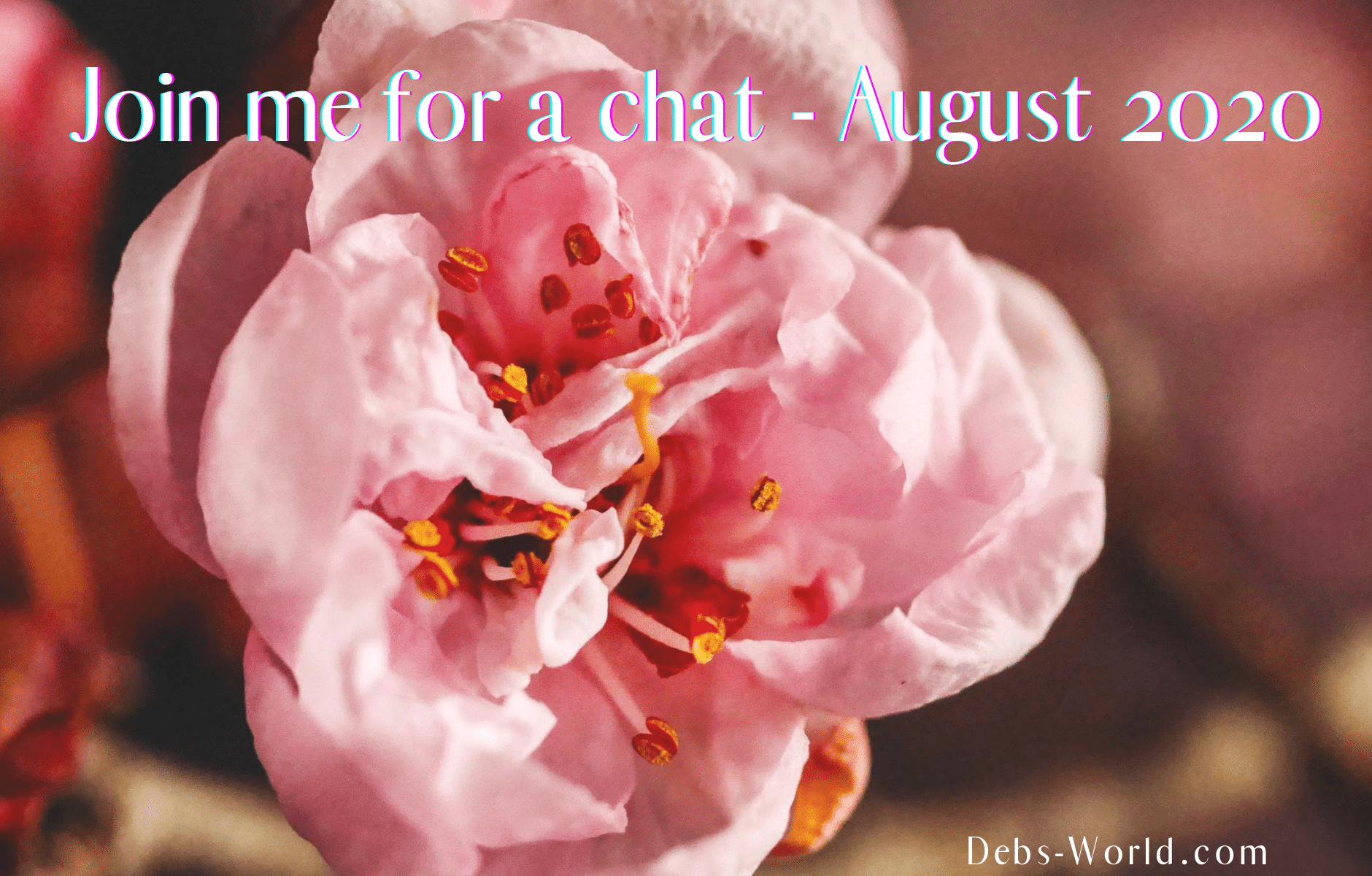 Chat in August