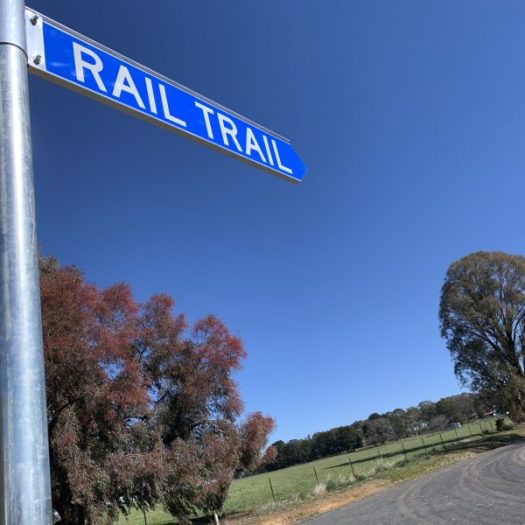 Rail Trail sign at Figures st
