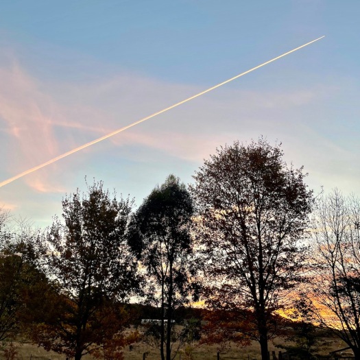 autumn sunset and plane trail