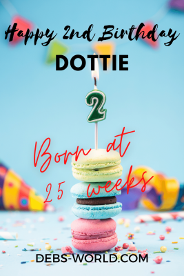 Dottie 2nd birthday pin