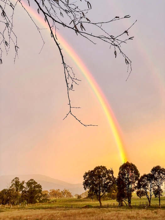 rainbow over Tumbarumba
