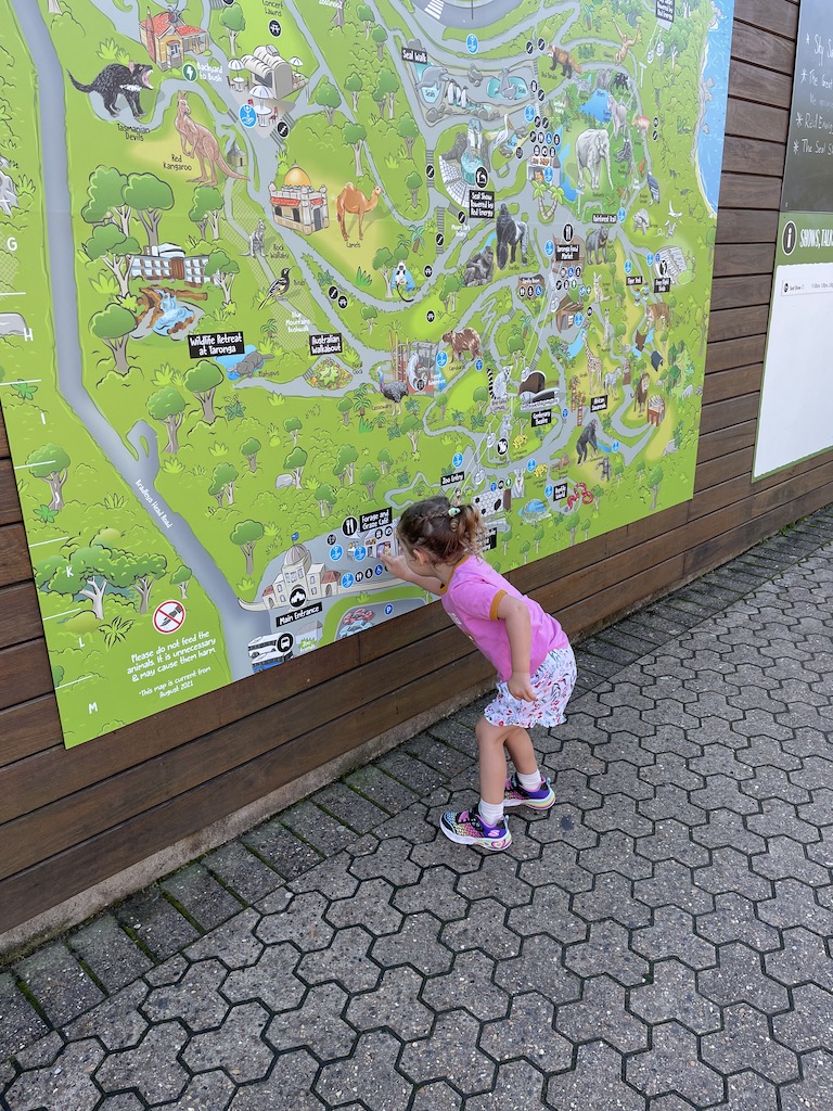 Finding our spot on the map of the zoo